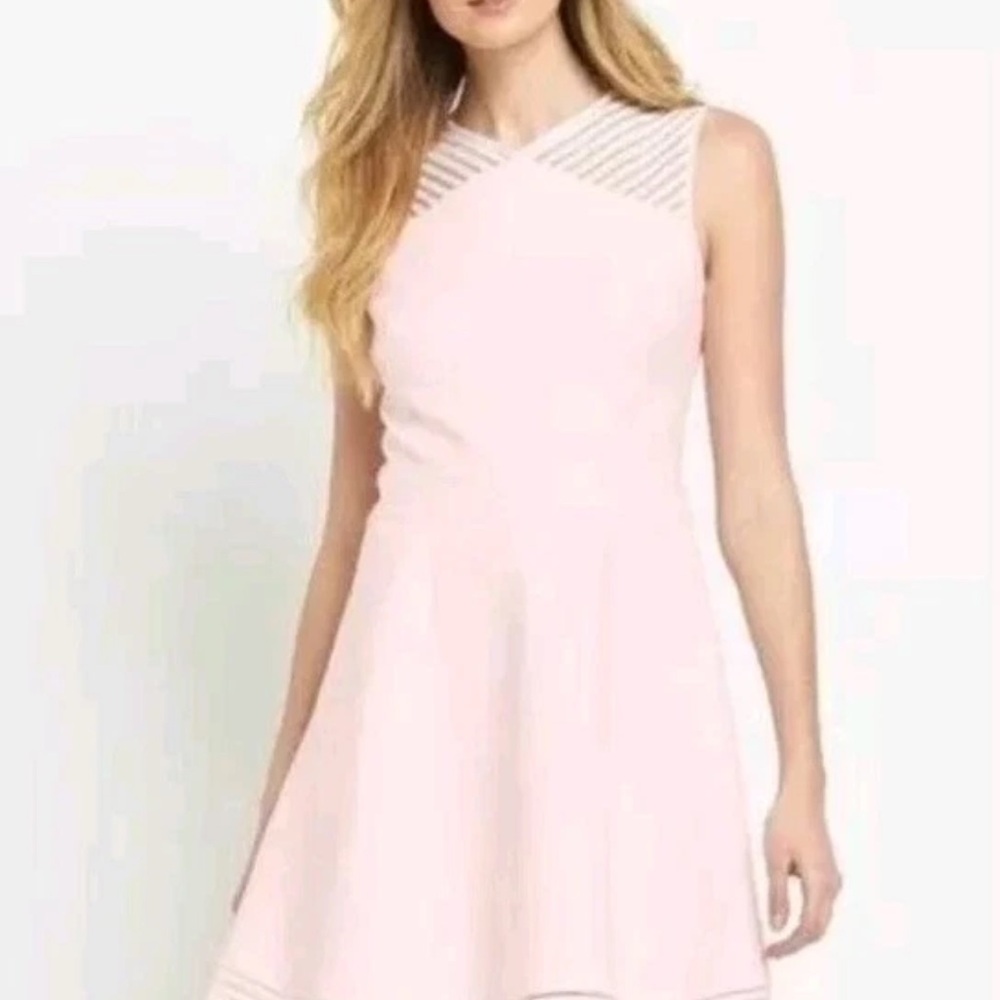 Ted Baker London Eleese Mesh Detail Skater Dress Light Pink – Size 1 (US 4) - Picture 2 of 9